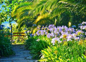 Jardín al aire libre en Quinta de San Amaro Rias Baixas