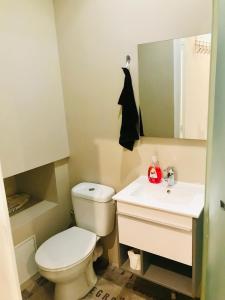 a bathroom with a toilet and a sink at Chambres Privées Ysy in Nancy
