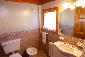 a bathroom with a toilet and a sink and a mirror at Cabañas Del Lacar in San Martín de los Andes