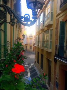 une allée vide avec une fleur rouge dans un bâtiment dans l'établissement Apartamento Mon Chéri, à Malaga