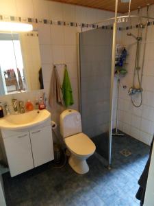 a bathroom with a toilet and a sink and a shower at Cozy two room apartment with sauna in Hyvinkää
