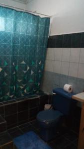 a bathroom with a blue toilet and a green tiled wall at Pulpos in Quepos