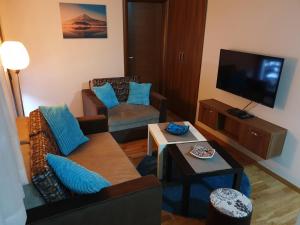 salon z kanapą i telewizorem w obiekcie Bear's Eye View w mieście Zlatibor