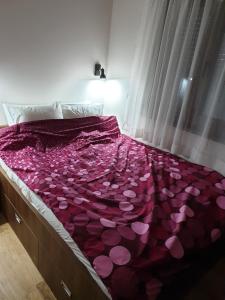 sypialnia z łóżkiem pokrytym różowymi płatkami w obiekcie Bear's Eye View w mieście Zlatibor