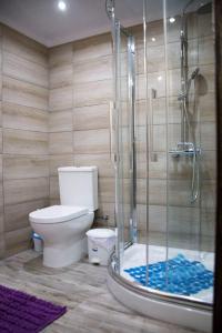 a bathroom with a toilet and a glass shower at Kazani House Lofou in Lofou