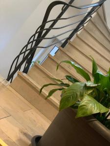 Fotografie z fotogalerie ubytování Hotel Restaurant Memo v destinaci Mannheim