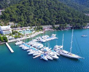 un grupo de barcos atracados en un puerto en Yacht Classic Hotel - Boutique Class en Fethiye