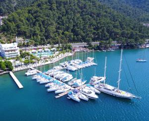 a group of boats docked in a harbor at Yacht Classic Hotel - Boutique Class in Fethiye