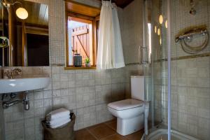 y baño con aseo, lavabo y ducha. en BARN THE RETREAT Apartamento premium en Esterri d'Àneu, en Esterri d'Àneu