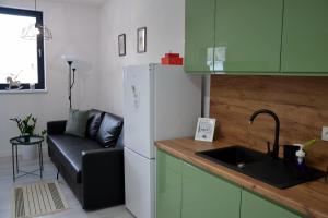 Kuchyňa alebo kuchynka v ubytovaní Zielone Apartamenty