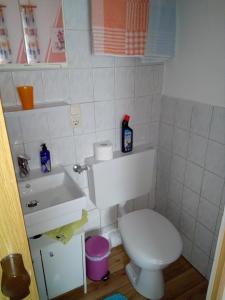 a small bathroom with a toilet and a sink at Rottl-Sepp Renoth Karoline in Berchtesgaden