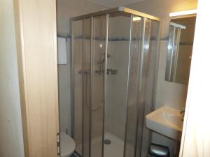 La salle de bains est pourvue d'une douche, de toilettes et d'un lavabo. dans l'établissement Hotel De Ville, à Rossinière