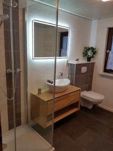 uma casa de banho com um lavatório e um chuveiro em Ferienwohnung Bergluft em Winterberg