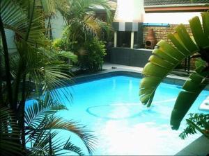 a large blue swimming pool in a building with palm trees at 57 Pelican Street in St Lucia
