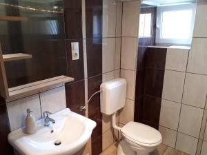 A bathroom at Csóka Apartman Pápa