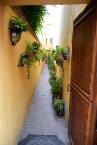 Foto de la galería de Casa Maricela B&B en San Miguel de Allende