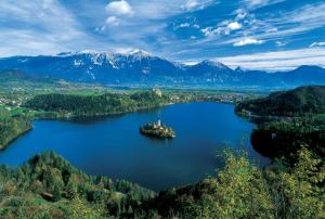 Gallery image of Apartments Vidic in Bled