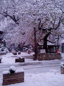 park pokryty śniegiem z drzewami w tle w obiekcie House On The Mountain w mieście Eptalofos