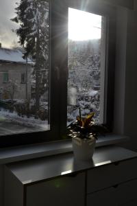 Zielone Apartamenty v zime
