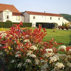a garden with flowers in front of a house at Le Mas de La Pommeraie in Saint-Géry