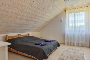 多布雷城Rezydencja Limajno的相册照片