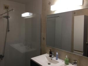 
a bathroom with a shower, sink, and mirror at Airport Residence in Zaventem

