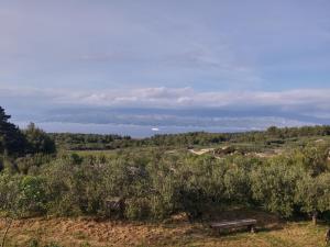 a bench in a field with the ocean in the background at Holiday Home Ruža in Mirce