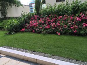 Vonkajšia záhrada v ubytovaní Corvin Residence Apartments