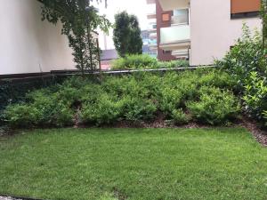 Vonkajšia záhrada v ubytovaní Corvin Residence Apartments