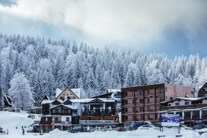 ein Skigebiet mit schneebedeckten Bäumen und Gebäuden in der Unterkunft Apartmani Stelo Jahorina in Jahorina