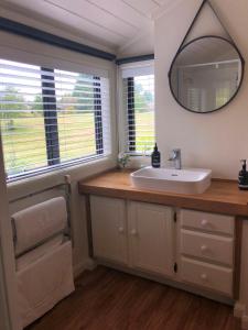 W łazience znajduje się umywalka i lustro. w obiekcie Kinloch Lakeview Lodge - Taupo w mieście Kinloch