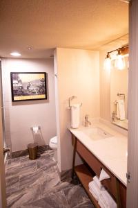 Gallery image of Primm Valley Hotel & Casino, a Travelodge by Wyndham in Primm +57 photos