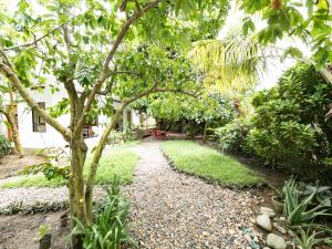 a garden with a tree and a gravel path at Punta Caribana Casa Hotel in Necoclí