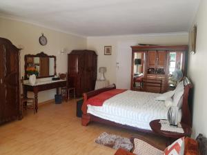 a bedroom with a bed and a desk and a mirror at Upper Houghton Guesthouse in Johannesburg