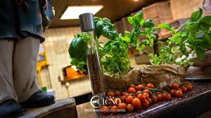 Fotografie z fotogalerie ubytování Hotel Ristorante Cigno - Camere and Aparthotel v destinaci Latisana