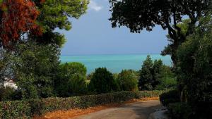 una strada sterrata con alberi e l'oceano sullo sfondo di Numana View a Numana