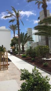 przejście z palmami przed budynkiem w obiekcie Exclusive Vista Bristol w Corralejo