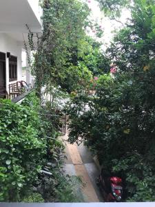Zahrada ubytování Unawatuna Beach Bungalow -
