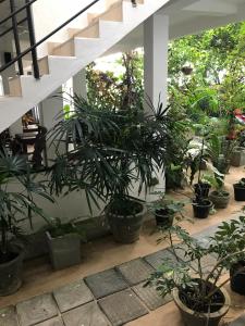 Zahrada ubytování Unawatuna Beach Bungalow -