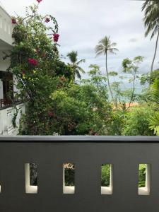 Zahrada ubytování Unawatuna Beach Bungalow -