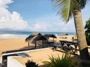 希卡杜瓦的住宿－海洋之光賓館，海滩上设有桌子和草伞,还有大海