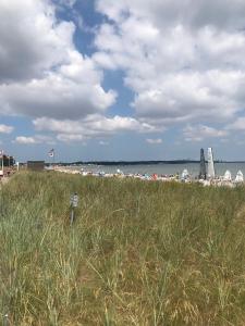 a beach with umbrellas and a field of grass at Strandgut 63 in Scharbeutz