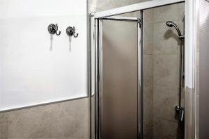 a shower with a glass door in a bathroom at Posada de la Costurera de Aranjuez in Aranjuez