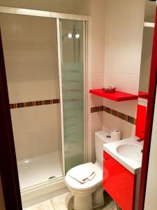 a bathroom with a shower and a toilet and a sink at Le relais du Haut Limousin in Eymoutiers +13 photos