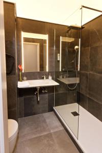 ein Bad mit einer Dusche, einem Waschbecken und einem WC in der Unterkunft Hotel Restaurant Crystal in Erstein