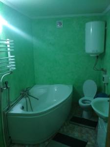 ボロフタにあるНезабутні Карпатиの緑豊かなバスルーム(バスタブ、トイレ付)