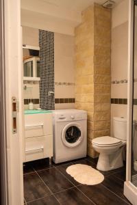 a bathroom with a washing machine and a toilet at Madeleine in Boncourt