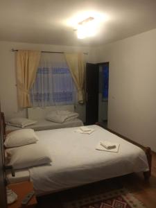a bedroom with two beds and a window at Pensiunea Magnolia in Ocna Şugatag
