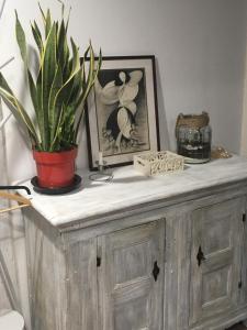 a potted plant sitting on top of a wooden cabinet at appartement terrasseLouhans centre in Louhans