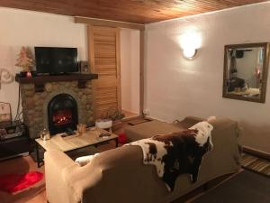 ein Wohnzimmer mit einem Sofa und einem Kamin in der Unterkunft La Tranquilita in Sospel